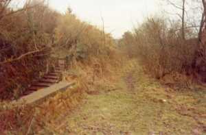 The old track bed at Dunkirk Mills before conversion to a cycle-walkway. 1982.